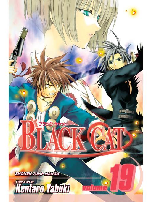Black Cat, Volume 19