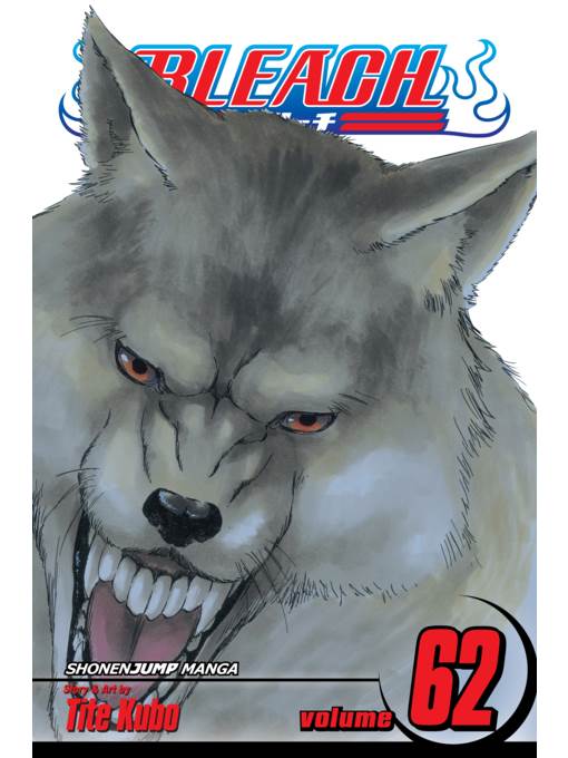 Bleach, Volume 62