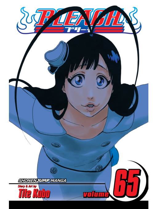 Bleach, Volume 65