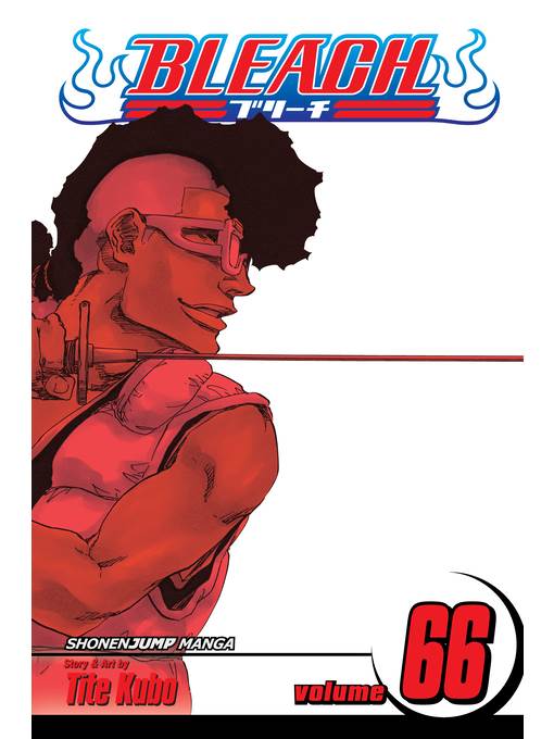 Bleach, Volume 66
