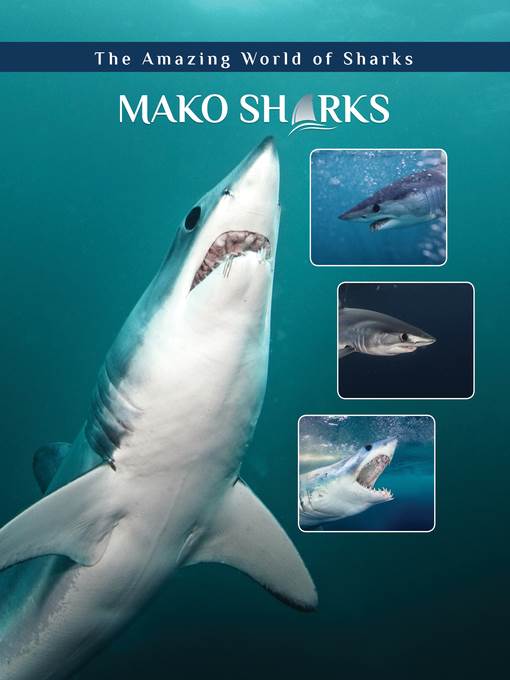 Mako Sharks