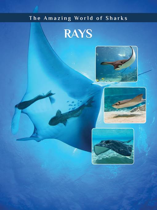 Rays