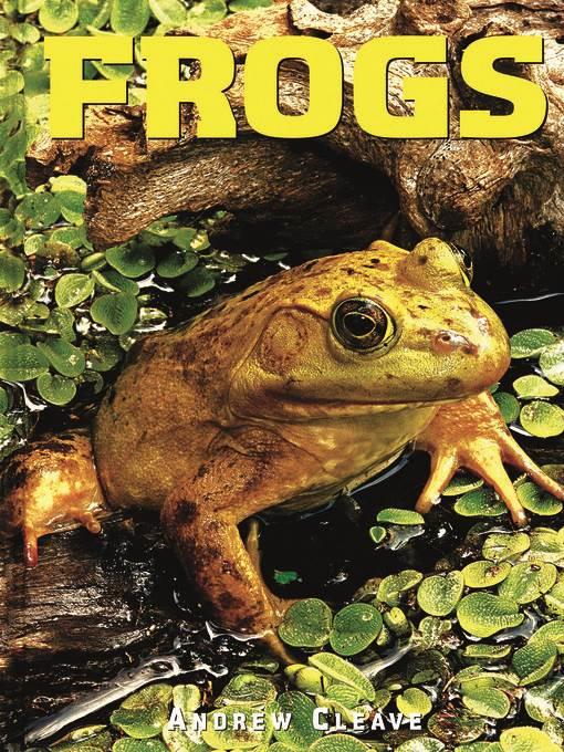 Frogs