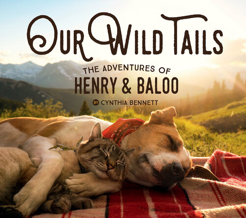 Our Wild Tails : The Adventures of Henry & Baloo.
