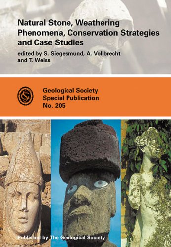 Natural Stone, Weathering Phenomena, Conservation Strategies, and Case Studies