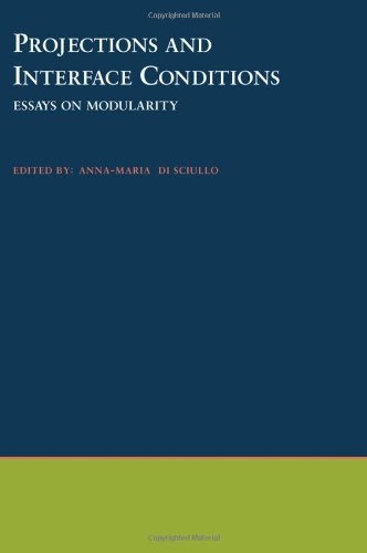 Projections and interface conditions : essays on modularity