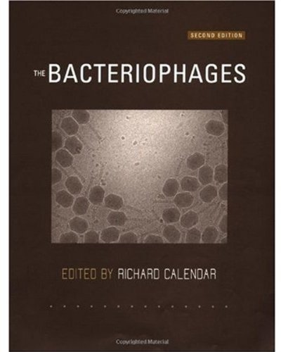 The bacteriophages