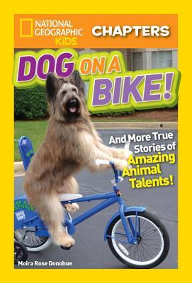 Dog on a Bike