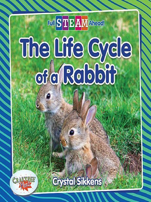 The Life Cycle of a Rabbit