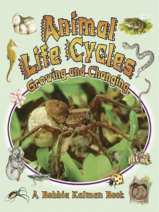 Animal Life Cycles