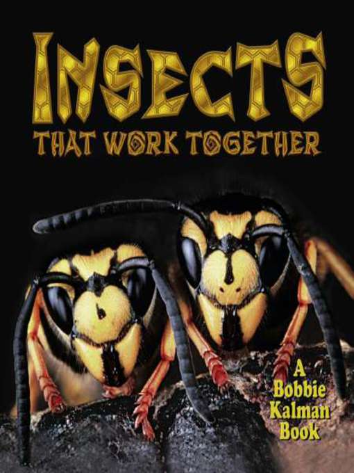 Insects that work together