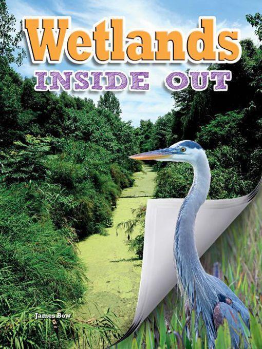 Wetlands Inside Out