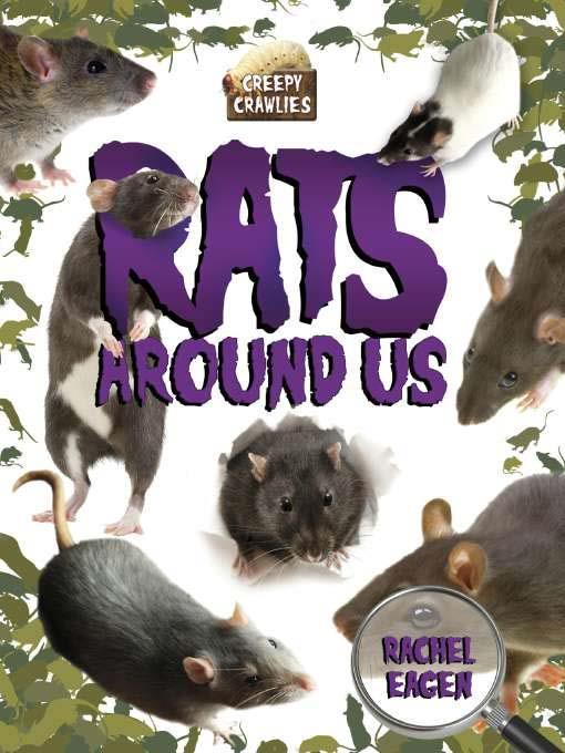 Rats Around Us