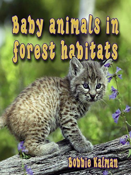 Baby Animals In Forest Habitats