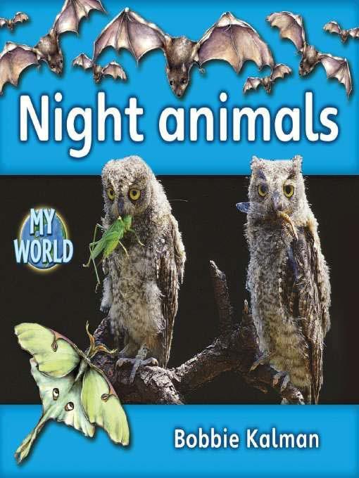 Night Animals