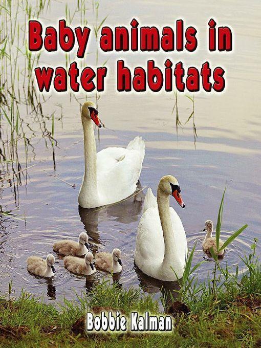 Baby Animals in Water Habitats