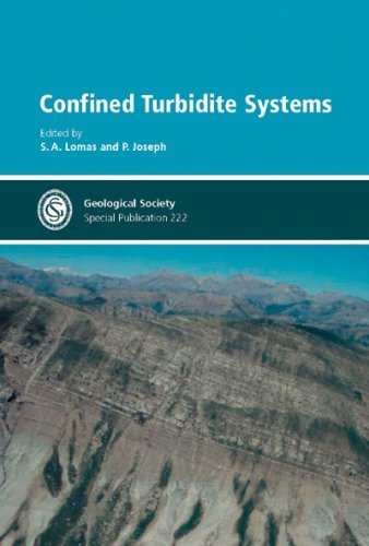 Confined turbidite systems