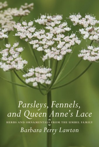 Parsleys, fennels, and Queen Anne's lace : herbs and ornamentals from the umbel family