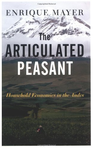 The articulated peasant : household economies in the Andes