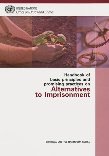 Handbook of basic principles and promising practices on alternatives to imprisonment