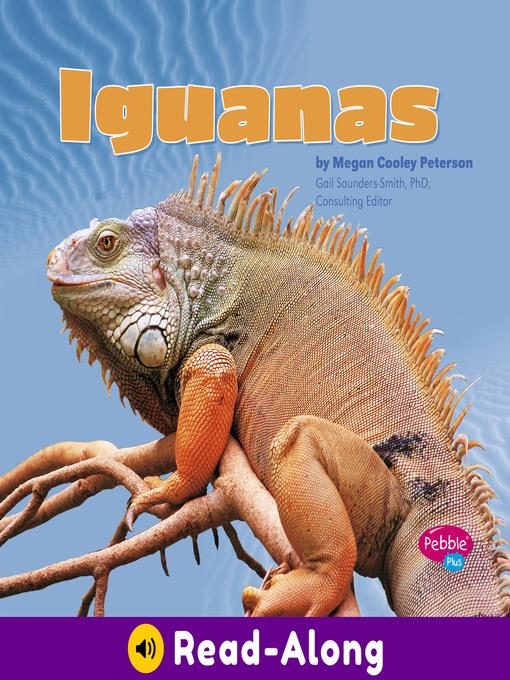 Iguanas