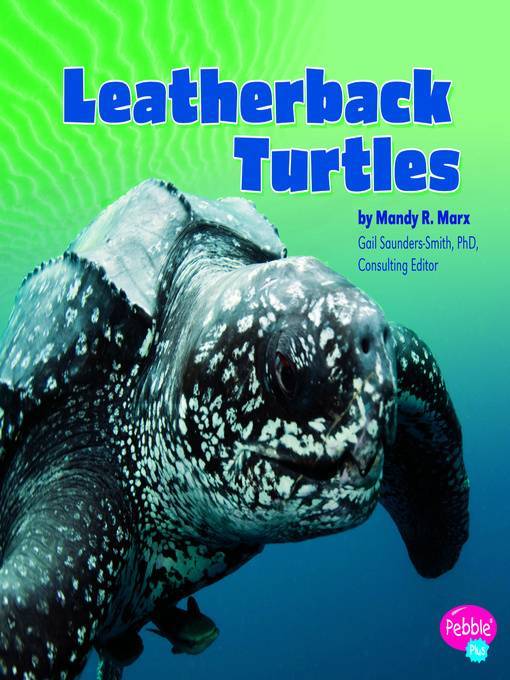 Leatherback Turtles