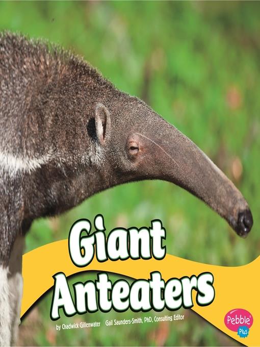 Giant Anteaters