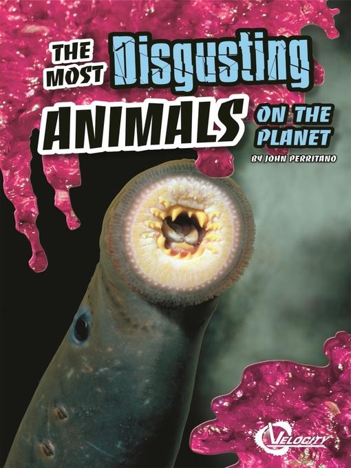 The Most Disgusting Animals on the Planet