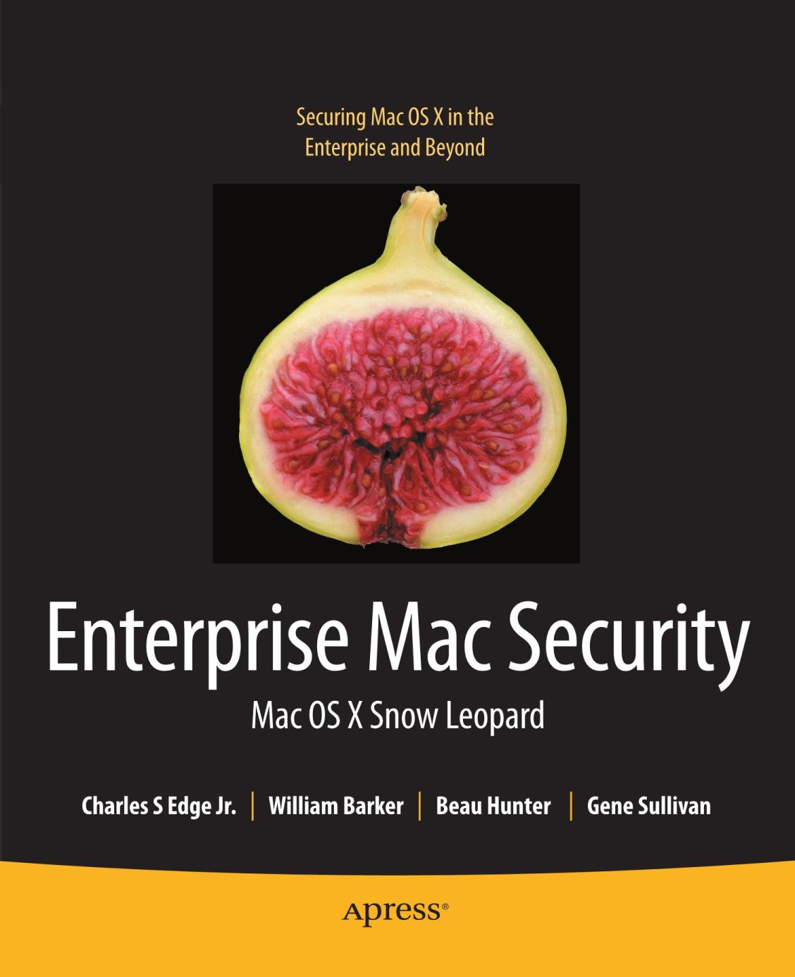 Enterprise Mac Security