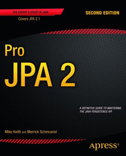 Pro JPA 2