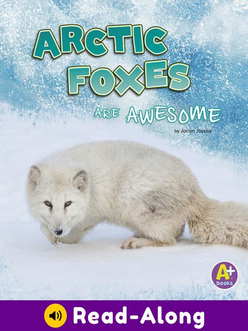 Arctic Fox