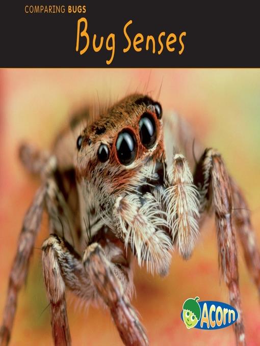 Bug Senses