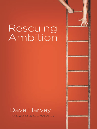 Rescuing Ambition