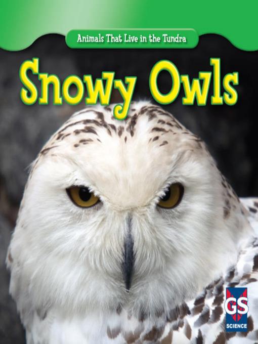 Snowy Owls