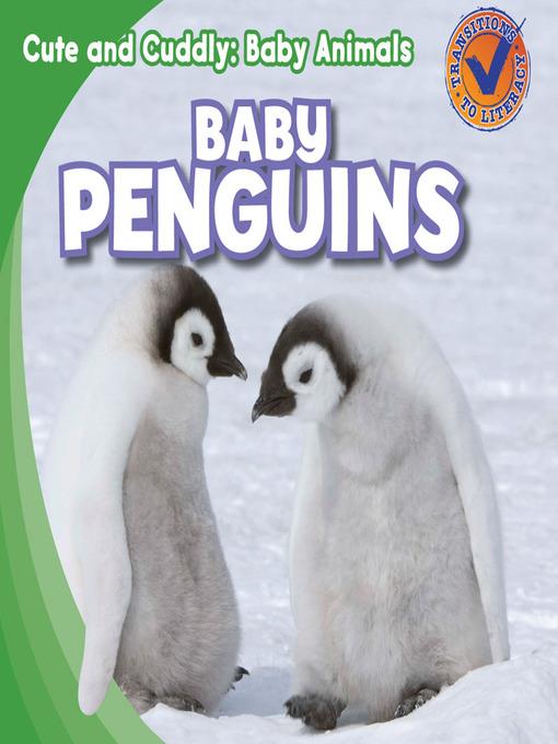 Baby Penguins