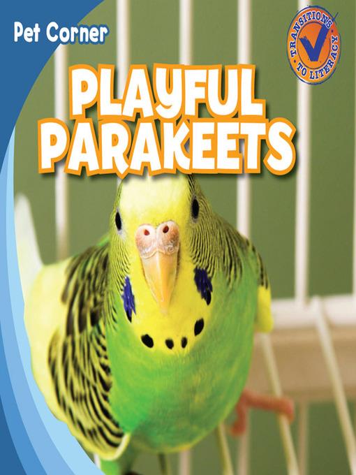 Playful Parakeets