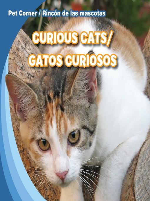 Curious Cats / Gatos curiosos