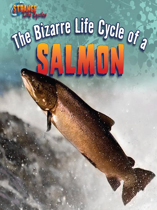 The Bizarre Life Cycle of a Salmon