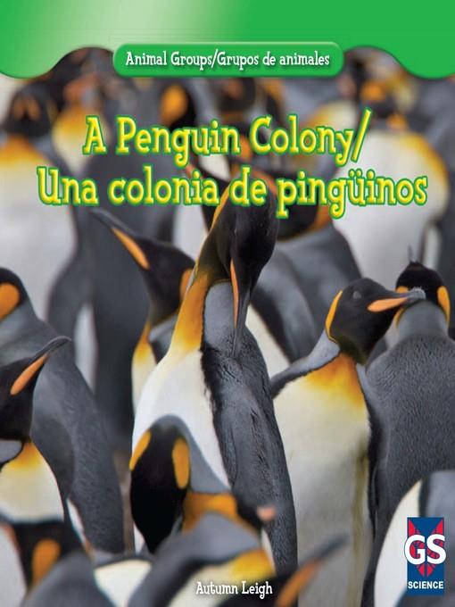 A Penguin Colony (Una colonia de Pingüinos)