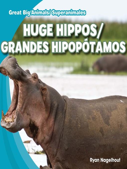 Huge Hippos / Grandes hipopótamos