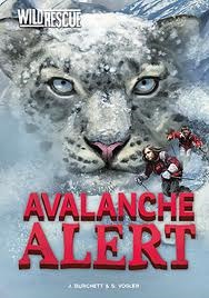 Avalanche Alert