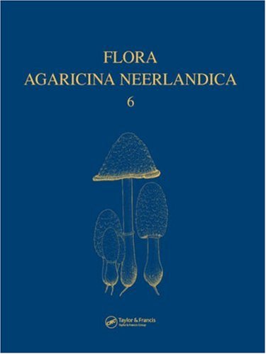 Flora agaricina neerlandica. Volume 6 : critical monographs on families of agarics and boleti occurring in the Netherlands