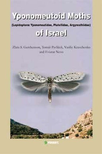 Yponomeutoid moths of Israel : (Lepidoptera, Yponomeutidae, Plutellidae, Argyresthiidae)