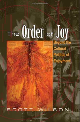 The order of joy : beyond the cultural politics of enjoyment