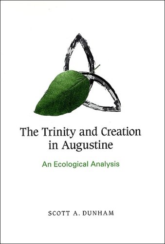 The Trinity and creation in Augustine : an ecological analysis