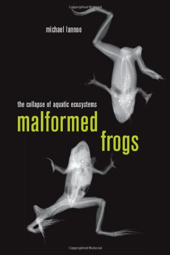 Malformed Frogs : The Collapse of Aquatic Ecosystems