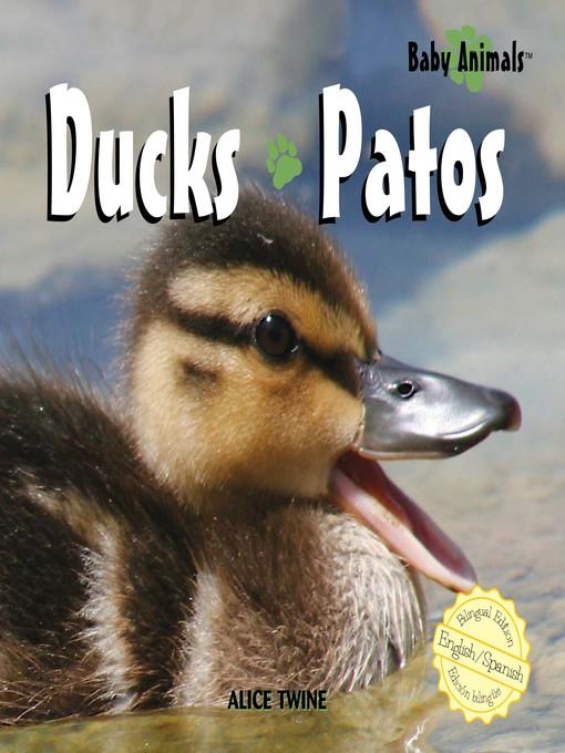 Ducks / Patos