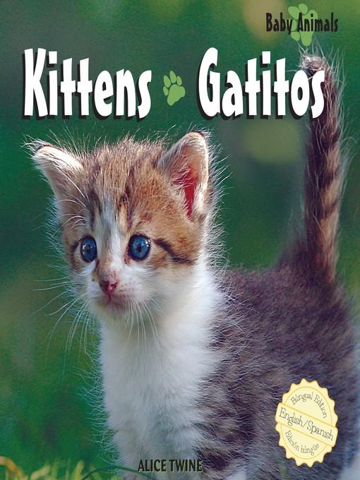 Kittens / Gatitos