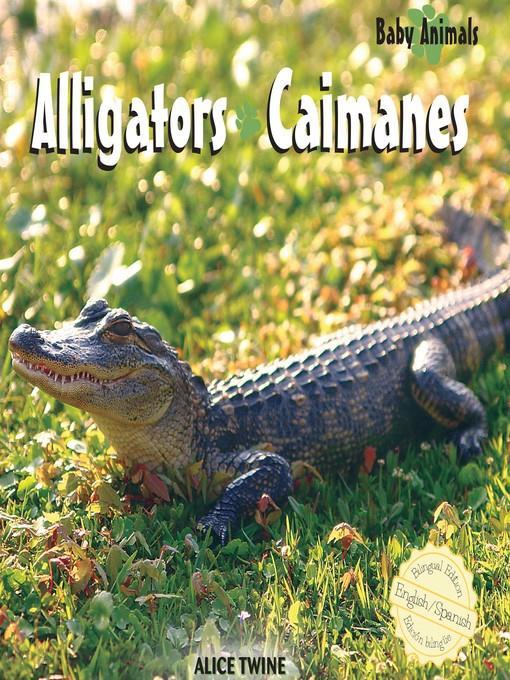 Alligators / Caimanes