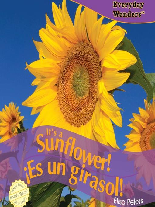 It's a Sunflower! / ¡Es un girasol!